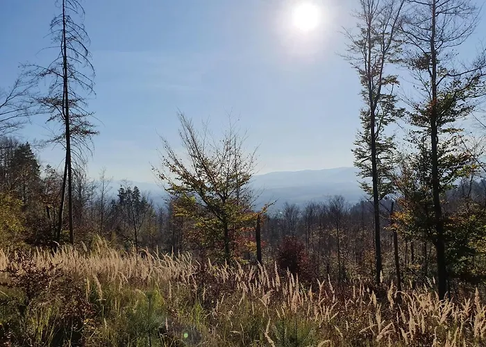 בית נופש Z Widokiem Na Szczyrk Bierna